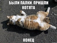 были палки, пришли котята конец
