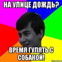 на улице дождь? время гулять с собакой!