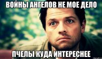 войны ангелов не мое дело пчелы куда интереснее