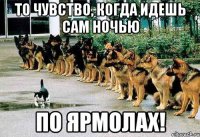 то чувство, когда идешь сам ночью по ярмолах!
