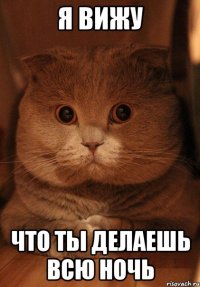 я вижу что ты делаешь всю ночь