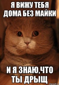 я вижу тебя дома без майки и я знаю,что ты дрыщ