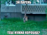 эй парень тебе нужна коробка?