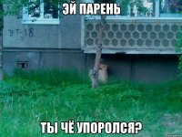 эй парень ты чё упоролся?