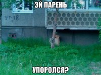 эй парень упоролся?