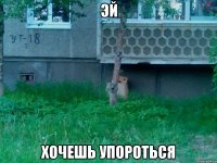 эй хочешь упороться