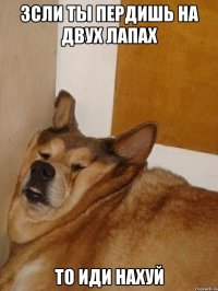 зсли ты пердишь на двух лапах то иди нахуй