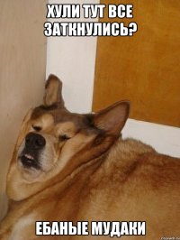 хули тут все заткнулись? ебаные мудаки