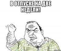 в отпуске на две недели! 