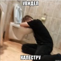 увидел калестру