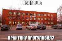 говоришь практику прогуливал?