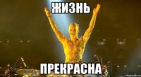жизнь прекрасна