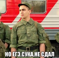  но егэ,сука,не сдал