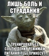 лишь боль и страдания тренировка без соблюдения режима и питания ,тебе принесут