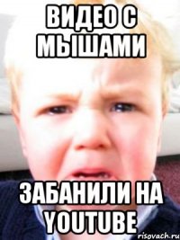 видео с мышами забанили на youtube