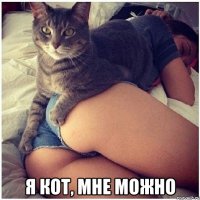  я кот, мне можно