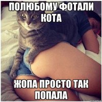 полюбому фотали кота жопа просто так попала