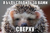 я буду следить за вами сверху