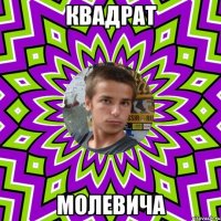 квадрат молевича