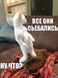 все они сьебались ну что?