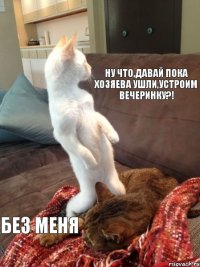 ну что,давай пока хозяева ушли,устроим вечеринку?! без меня