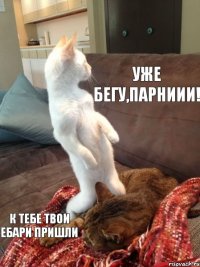 уже бегу,парниии! к тебе твои ебари пришли