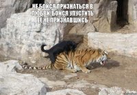 Не бойся признаться в любви, бойся упустить её не признавшись