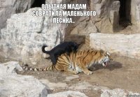 опытная мадам совратила маленького песика..