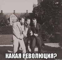  какая революция?