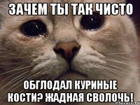 зачем ты так чисто обглодал куриные кости? жадная сволочь!