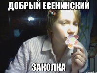 добрый есенинский заколка