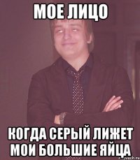 мое лицо когда серый лижет мои большие яйца