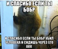 и спасибо если ты бобр и спасибо если ты бобр убил человека и сидишь через его акк