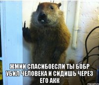  жмии спасибоесли ты бобр убил человека и сидишь через его акк