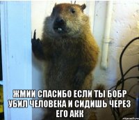  жмии спасибо если ты бобр убил человека и сидишь через его акк