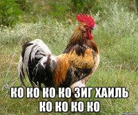  ко ко ко ко зиг хаиль ко ко ко ко