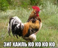  зиг хаиль ко ко ко ко