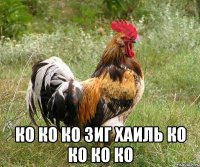  ко ко ко зиг хаиль ко ко ко ко