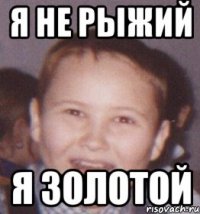 я не рыжий я золотой