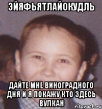 эйяфьятлайокудль дайте мне виноградного дня и я покажу кто здесь вулкан