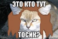 это кто тут тосик?