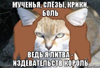 мученья, слёзы, крики, боль ведь я литва - издевательств король