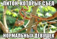 питон, которые съел нормальных девушек