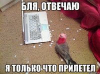 бля, отвечаю я только что прилетел