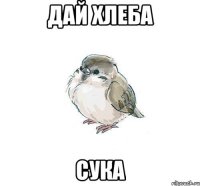 дай хлеба сука