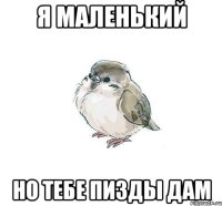 я маленький но тебе пизды дам