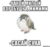 -какой милый воробушка, мимими -сасай сука