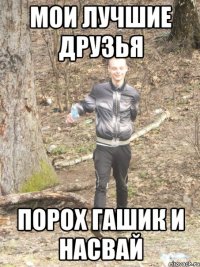 мои лучшие друзья порох гашик и насвай