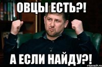 овцы есть?! а если найду?!