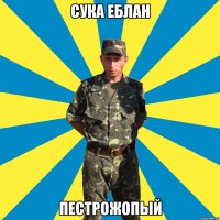 сука еблан пестрожопый